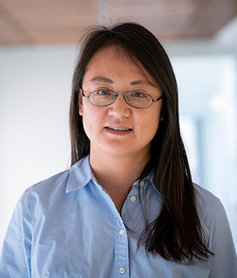 Qi Wei, assistant professor in the Bioengineering Department, develops realistic biomechanical models to study human movement and associated disorders.